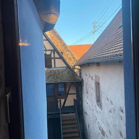 Le Riquewihrien Apartment Екстериор снимка